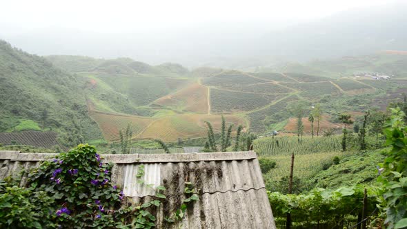 Scenic Rice Terraces - Northern Mountains Sapa Vietnam 2