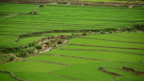 Scenic Rice Terraces - Northern Mountains Sapa Vietnam 3