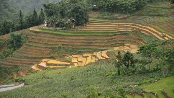 Scenic Rice Terraces In Northern Vietnam -  Sapa Vietnam 1