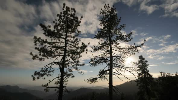 Clouds And Trees Time Lapse - Perfect