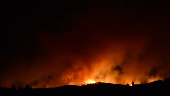 Large Forest Fire At Night 15