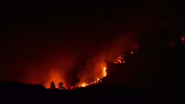 Large Forest Fire At Night 16