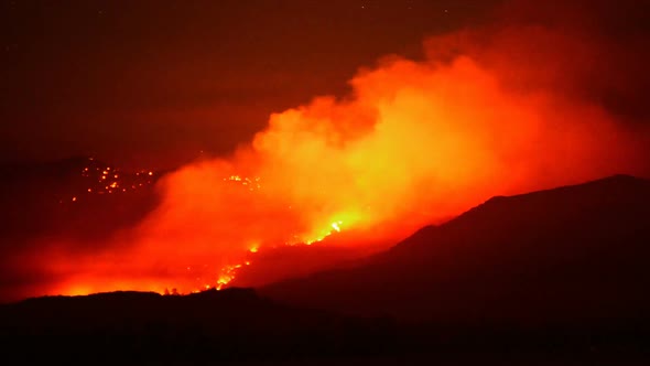Large Forest Fire At Night 3