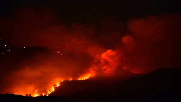 Time Lapse Of Large Forest Fire At Night 5