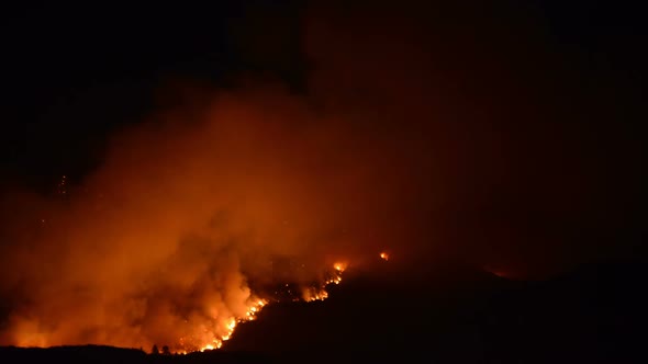Time Lapse Of Large Forest Fire At Night 7