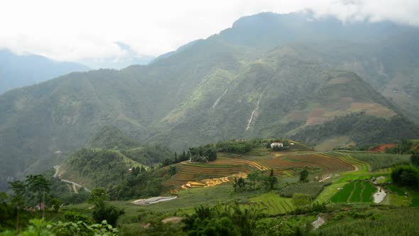 Rice Terraces In Green Valley - Sapa Vietnam 1