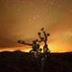 The Night Sky Mojave Desert - VideoHive Item for Sale