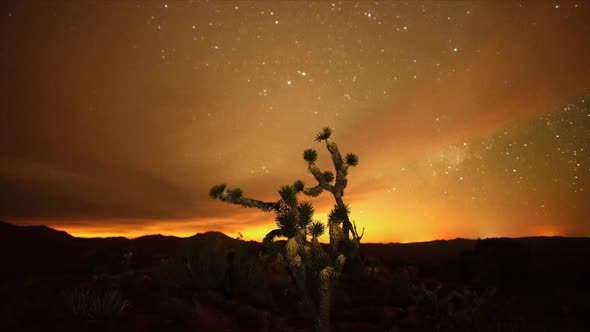 The Night Sky Mojave Desert