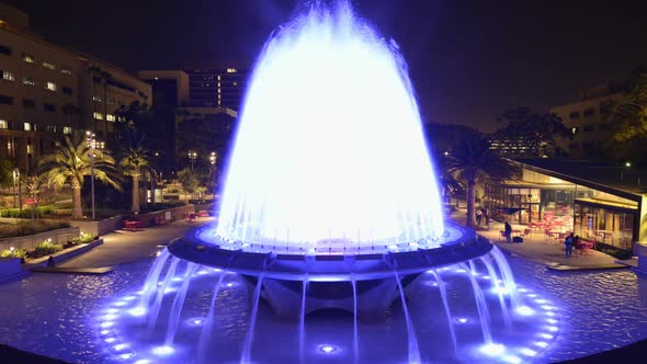 Los Angeles City Hall And Fountain Nighttime 3