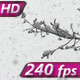 Large Flakes of Snow - VideoHive Item for Sale