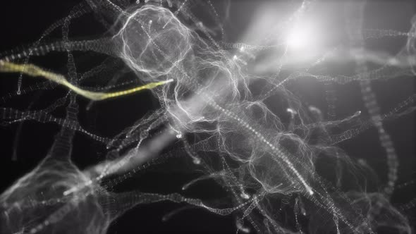 Neuronal Network of Neuron Cells
