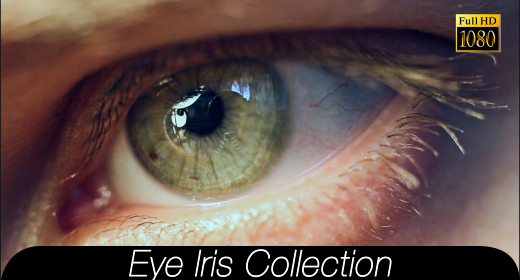 Eye Iris Collection