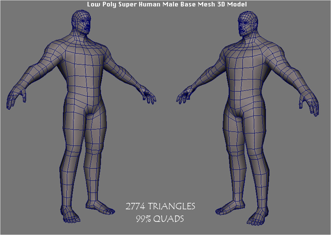 kant Sociale wetenschappen verontreiniging Low Poly Super Human Male Base Mesh 3D Model by bhuship | 3DOcean
