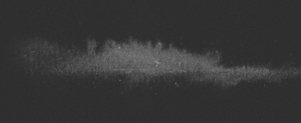 Homepage image