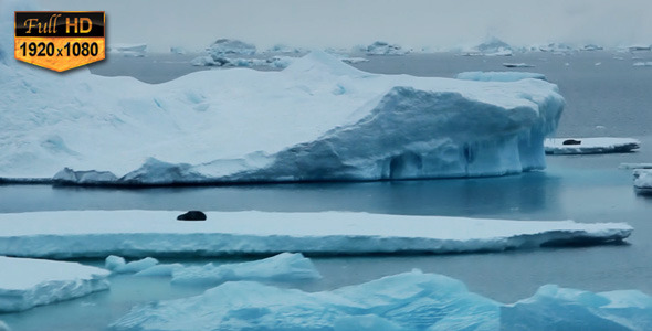Glacier Landscape on Sea 