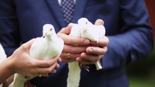 Wedding Doves alt