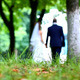 Wedding Couple Walking in Park - VideoHive Item for Sale