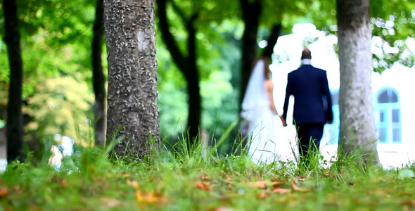 Wedding Couple Walking in Park