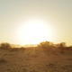 African Sunset - VideoHive Item for Sale