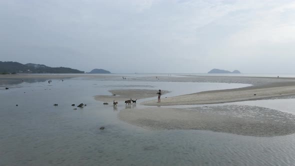 Woman With Her Dogs Walking At The Beach At Low Tide In Koh Pha Ngan alt