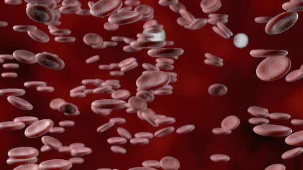 Red Blood Cells in an Artery Flow Inside Body Medical Human Healthcare
