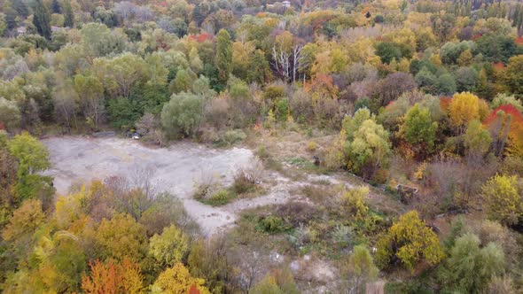 Autumn Forest Aerial Drone View