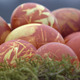 Easter Eggs 1 - VideoHive Item for Sale