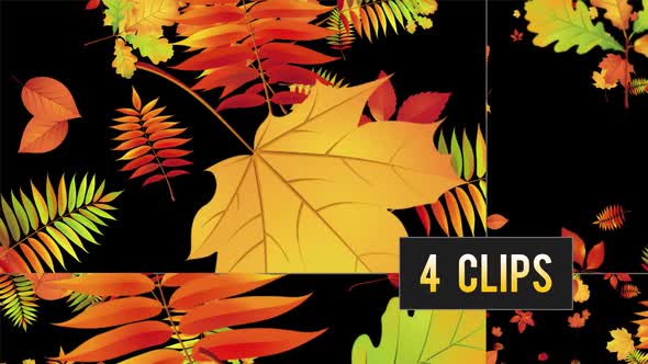 Autumn Leaves on Transparent Background - 4 Clips