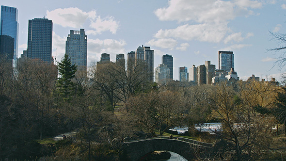 Central Park and Manhattan Skyline