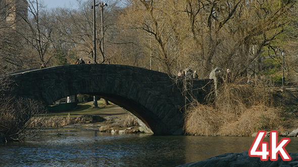 Central Park Bridge Pan