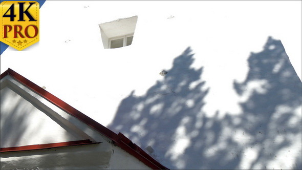 The Entrance of the White Lighthouse In alt