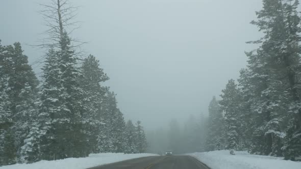 Snow and Fog in Wintry Forest Driving Auto Road Trip in Winter Utah USA