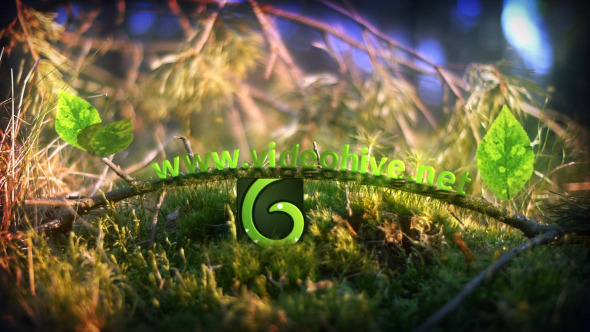 Spring Leaves Logo - VideoHive 10984145