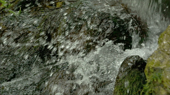 Water Splashing From the Lake alt