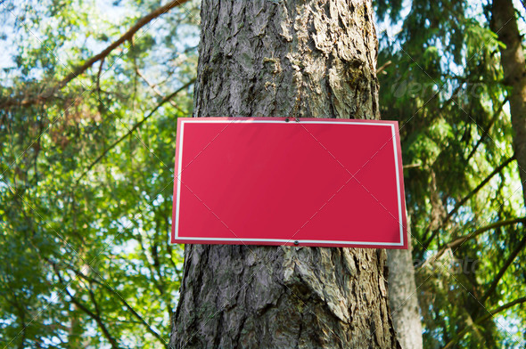 Red metal plate in wood