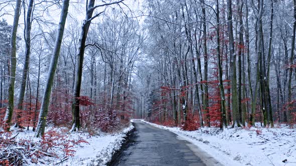 Black asphalt road in snowy forest. Transportation in winter. alt