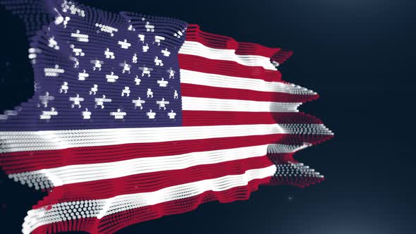 United States Particle Flag