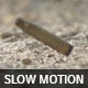 Bullet Shell Falls to the Ground 02 - VideoHive Item for Sale