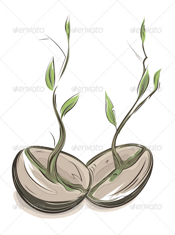 Set hand draw sprouts plants seeding vector 1492683  by kumdinpitak on  VectorStock  Seed tattoo How to draw hands Sprouts