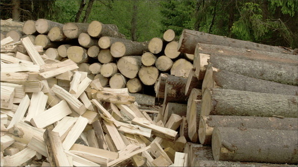 Big Logs Cut Into Small Pieces alt