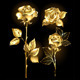 Set Of Golden Roses, Vectors 