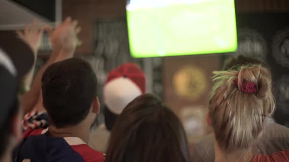 Football fans watching televised match at sports bar, rear view