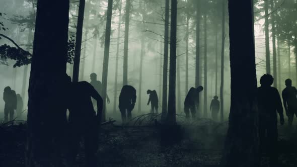 Zombies walking in the forest