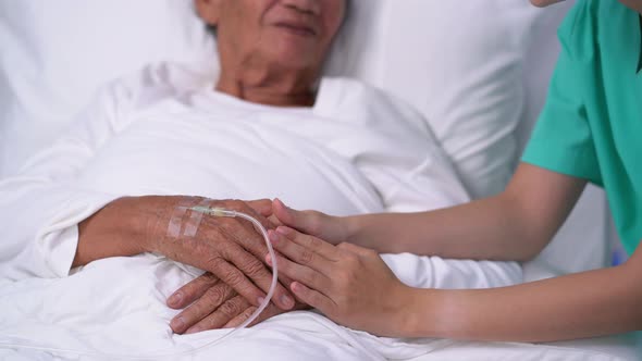 Female doctor talking with elderly woman patient holds hands Encouraging the sick 4k resolution