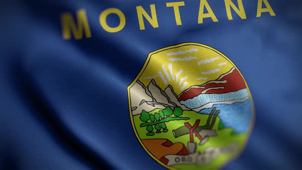 Montana State Flag Angle