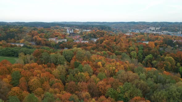 AERIAL: Suburb in Vilnius on a Very Colorful Autumn Day