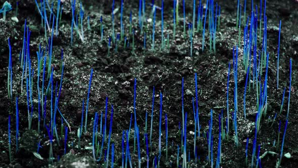 Blue Grass Growing Spring Time Lapse Future Futuristic Planet Magic World Germination