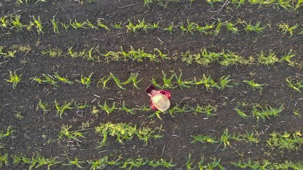 Cultivation of Agricultural Products alt