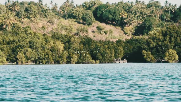 Unspoiled Coast of Zanzibar with Flock of Birds Forest Palms Reefs and Ocean alt