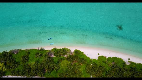 Aerial flying over sky of tranquil coast beach trip by transparent sea and white sandy background of alt